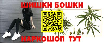 крисы Заводоуковск