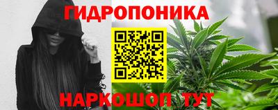 крисы Заводоуковск