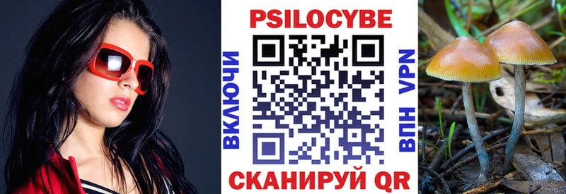 Галлюциногенные грибы Psilocybine cubensis  Дальнереченск 