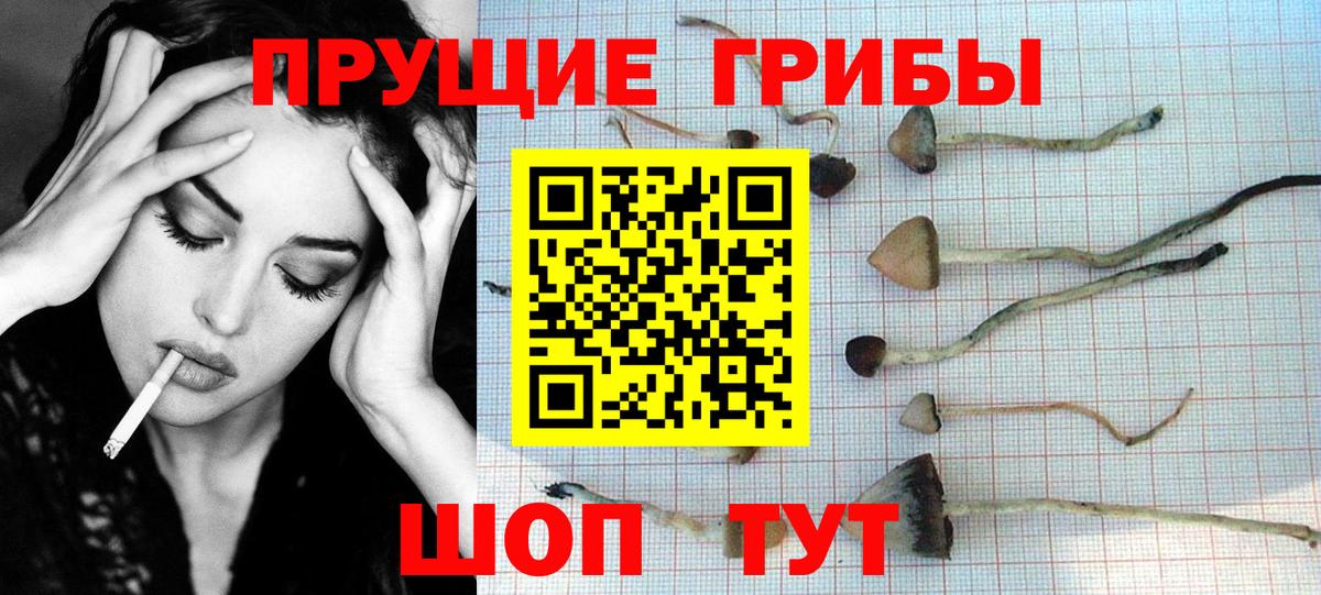 Галлюциногенные грибы ЛСД  Вход с VPN  Дальнереченск 
