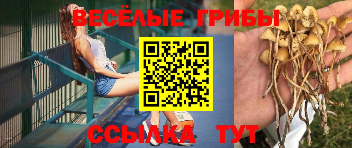 Псилоцибиновые грибы MAGIC MUSHROOMS Дальнереченск