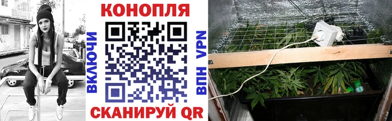 гидра ССЫЛКА  Дальнереченск  Шишки марихуана план 
